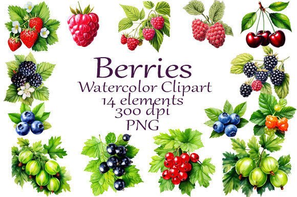 Bringing the Season to Life: The Art and Utility of Watercolor Summer Berries Clipart
