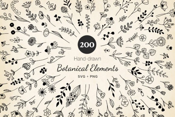 Elevating Creative Workflows with the Minimal Botanical Element Bundle