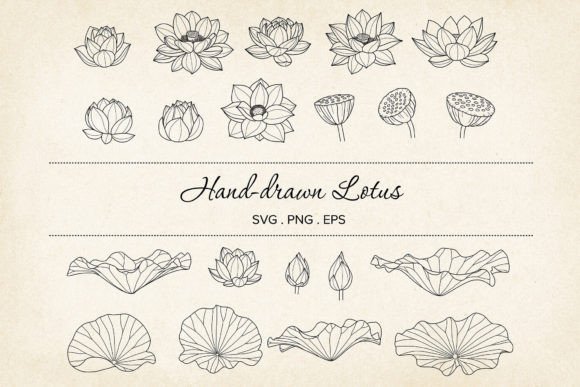 Lotus SVG Vector Bundle: A Comprehensive Guide for Creators