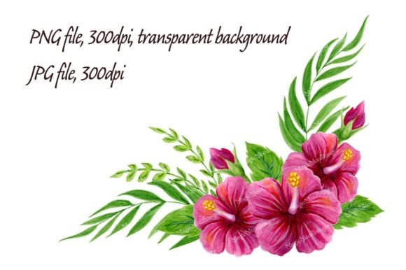 Tropical Hibiscus Flowers Watercolor PNG: Elevate Your Summer Designs
