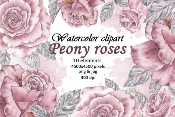 Watercolor Peony Flowers Vintage Clipart: A Practical Evaluation