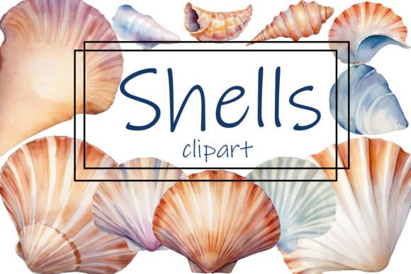 Watercolor Shells Clipart & Sea Shells Png